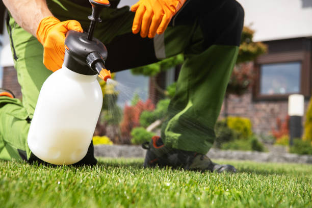 Best Wasp Removal Services  in Bath, ME