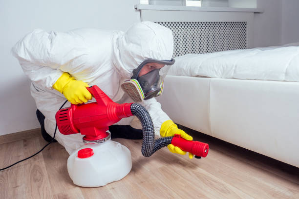 Best Pest Control for Businesses  in Bath, ME