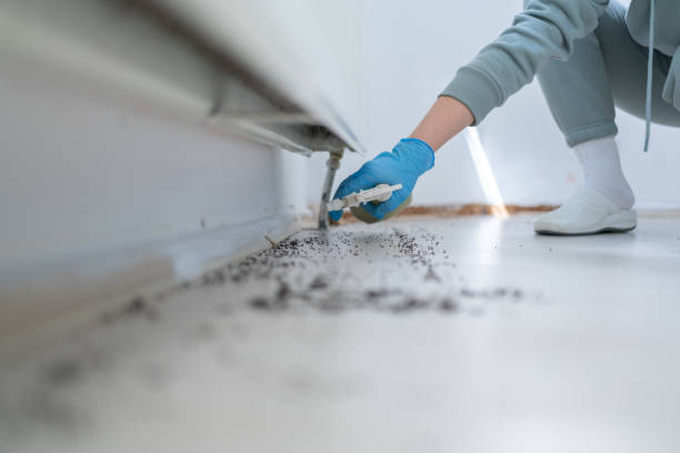 Best Residential Pest Control  in Bath, ME
